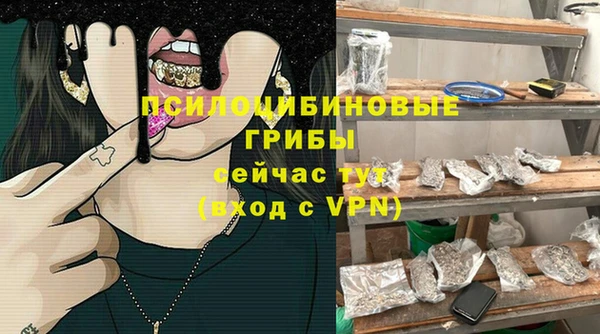 мяу мяу мука Аркадак