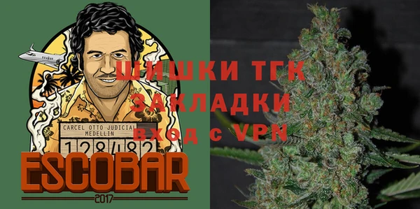 мяу мяу мука Аркадак