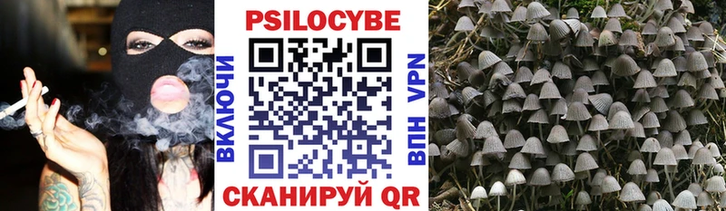 Галлюциногенные грибы Magic Shrooms  Мыски 