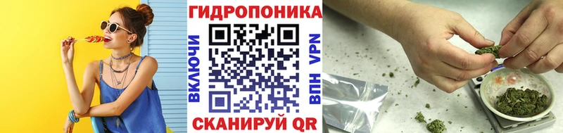 Шишки марихуана сатива  Мыски 